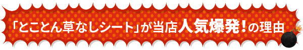 「とことん草なしシート」が当店人気爆発！の理由