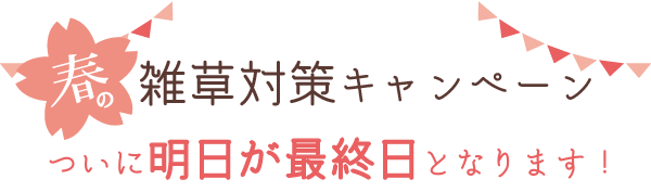 春の雑草対策キャンペーン