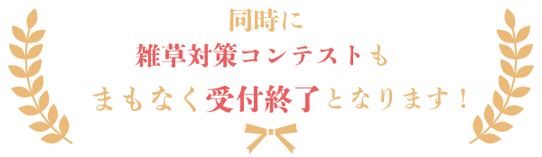 「雑草対策コンテスト」も まもなく受付終了