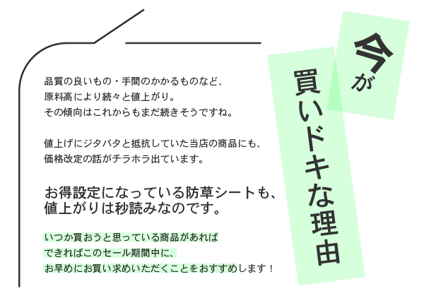 今が買いドキな理由