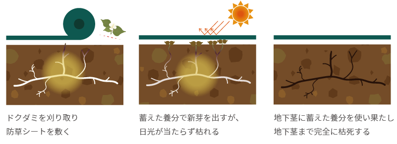 防草シートを敷いて日光を遮断し駆除する方法