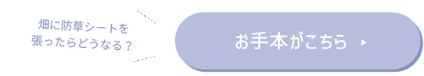 畑に防草シートを張ったらどうなる?