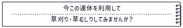 今この連休を利用して草刈り・草むしりしてみませんか？