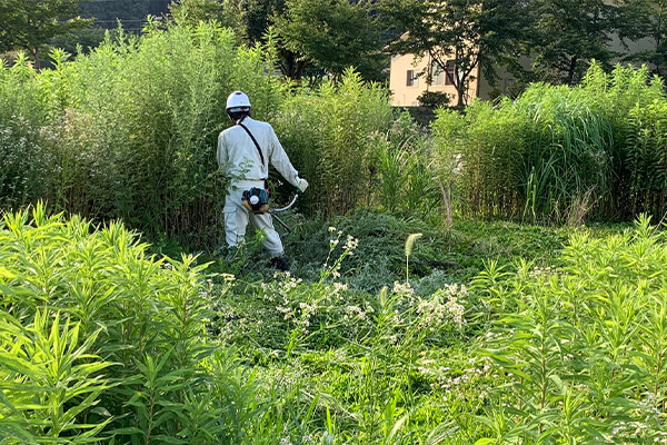 雑草が激しい時期は草刈り作業が大変