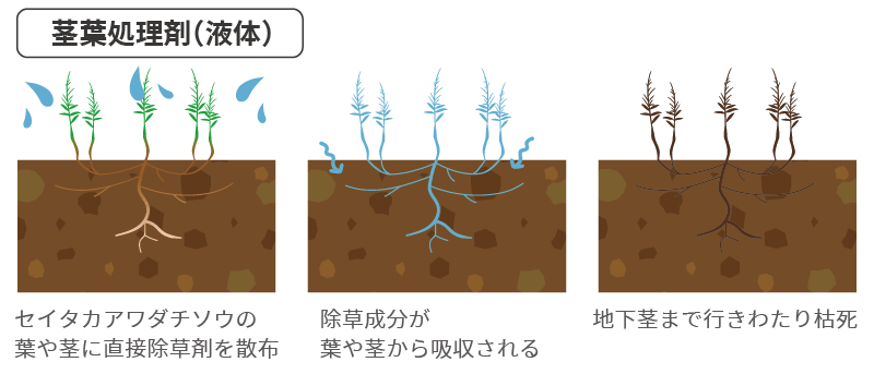 茎葉処理剤