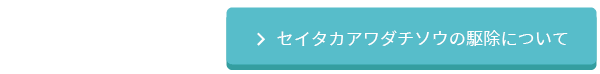 セイタカアワダチソウの駆除について