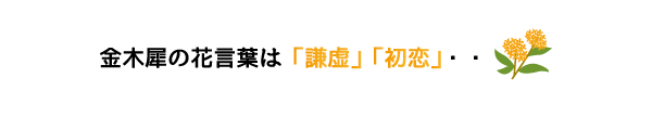 「謙虚」「初恋」