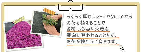 らくらく草なしシートを敷いてからお花を植えることで