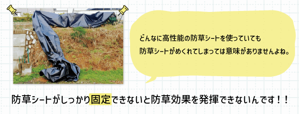 防草シートはしっかり固定できないと防草効果を発揮できない