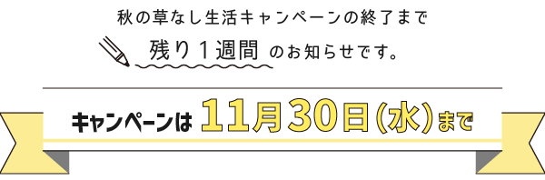 キャンペーンは11月30日（水）まで