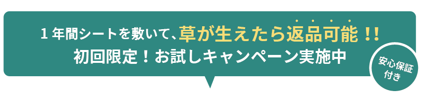 初めての方にオススメ！