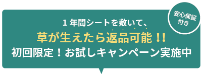 初めての方にオススメ！