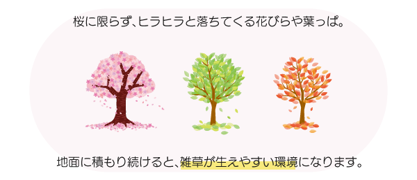 ヒラヒラと落ちてくる花びらや葉っぱ