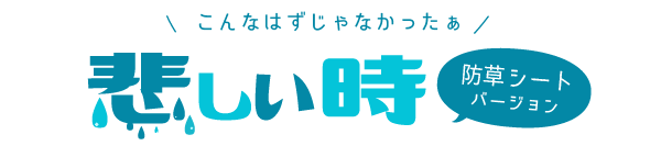 こんなはずじゃなかったぁ