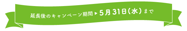 延長後のキャンペーン期間