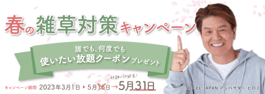 春キャンペーンタイトルPC