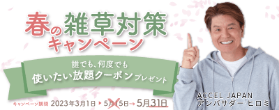 春キャンペーンタイトルSP