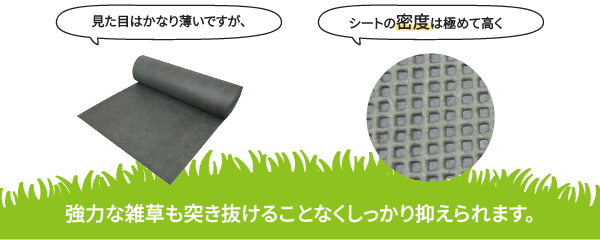 防草シートの密度は極めて高く