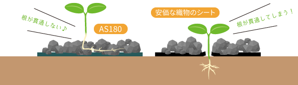 AS防草シートは根が貫通しない、安価な防草シートは根が貫通