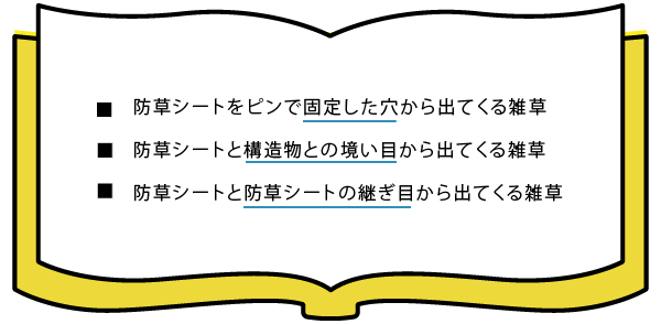 ピンで固定した穴からの雑草、防草シートと構造物との境い目からの雑草、防草シートと防草シートの継ぎ目からの雑草