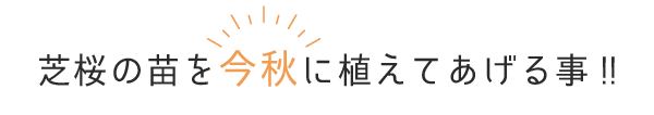 今秋に植えてあげる事