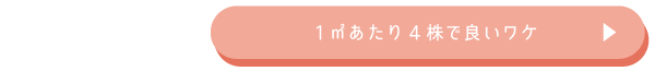 1m2あたり4株で良いワケ