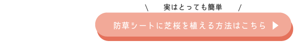 1m2あたり4株で良いワケ