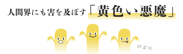 黄色い悪魔