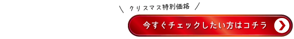 今すぐチェックしたい方はコチラ