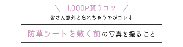 1,000P貰うコツ