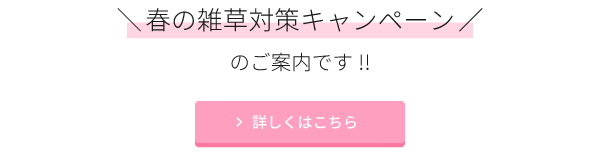 防草シート春の雑草対策キャンペーンのご案内です