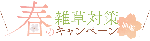 春の雑草対策キャンペーン開催