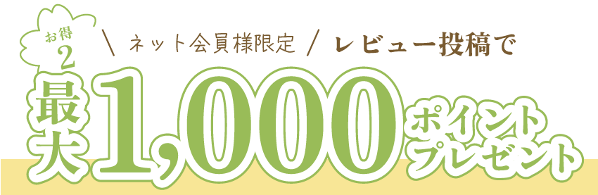 お得2レビュー投稿で最大1000ポイントプレゼント