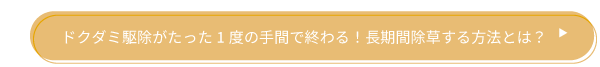 ドクダミ駆除がたった1度の手間で終わる