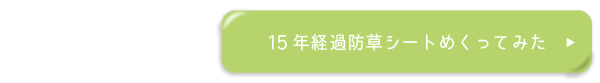 15年経過防草シートめくってみた