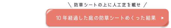 10年経過した庭の防草シートめくった結果