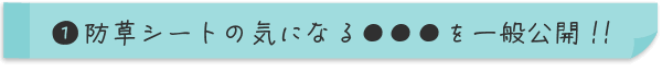 防草シートの気になる●●●を一般公開