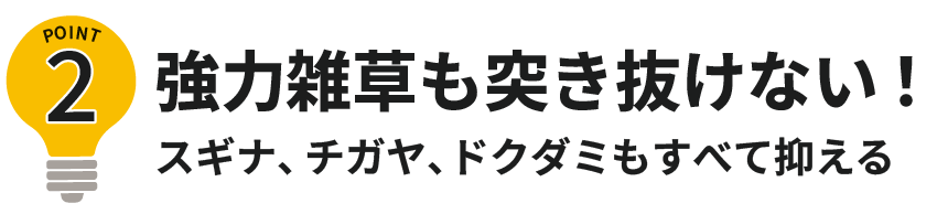 ポイント2強力雑草も突き抜けない