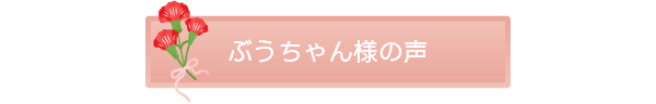 ぶうちゃん様の声