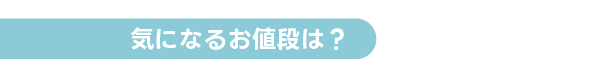 気になるお値段は？