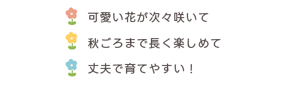 可愛い花が次々咲いて