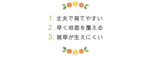 おすすめグランドカバー10選