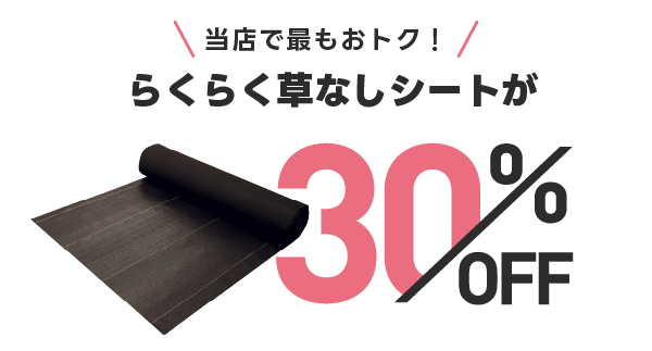 当店で最もおトク