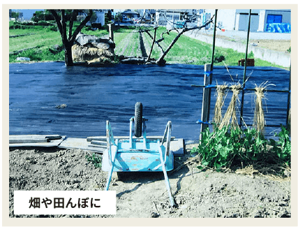 畑や田んぼに
