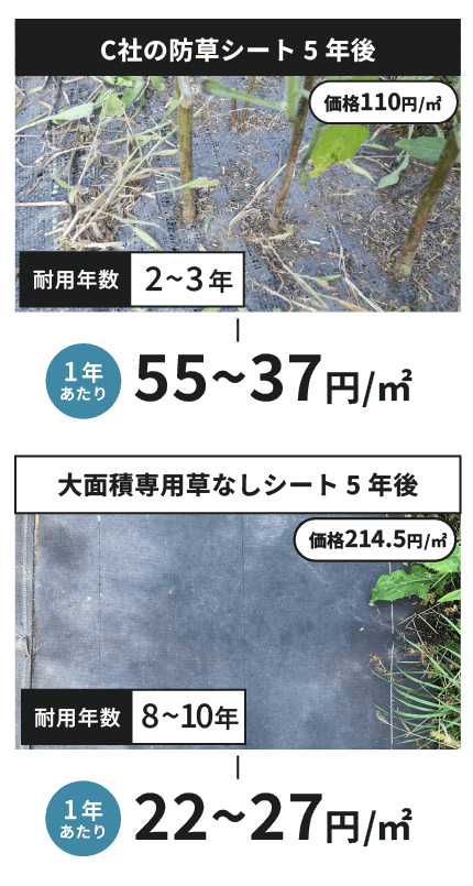 コストパフォーマンス