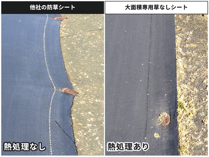 熱処理