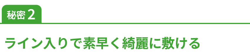 ライン入り