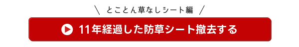 とことん草なしシート編