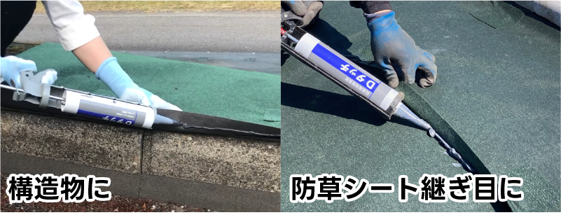 Ｄタッチを塗布
