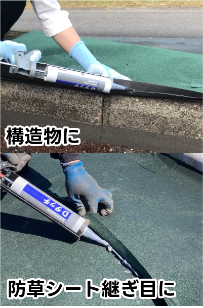 Ｄタッチを塗布